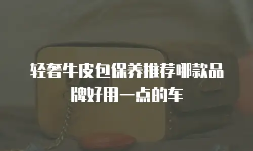 轻奢牛皮包保养推荐哪款品牌好用一点的车