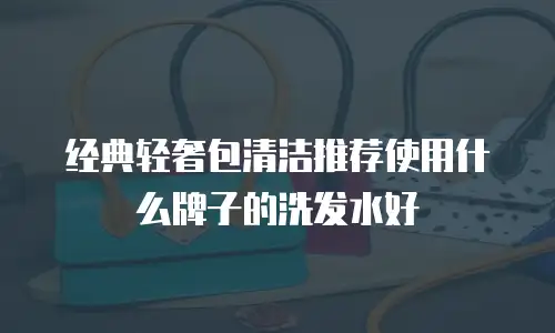 经典轻奢包清洁推荐使用什么牌子的洗发水好