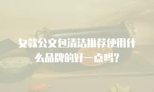 女款公文包清洁推荐使用什么品牌的好一点吗？