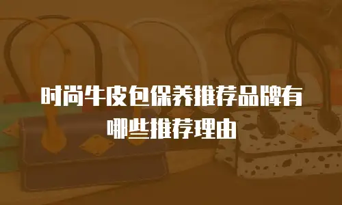 时尚牛皮包保养推荐品牌有哪些推荐理由