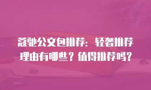 蔻驰公文包推荐：轻奢推荐理由有哪些？值得推荐吗？