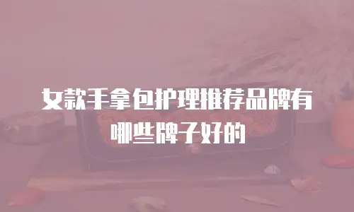 女款手拿包护理推荐品牌有哪些牌子好的
