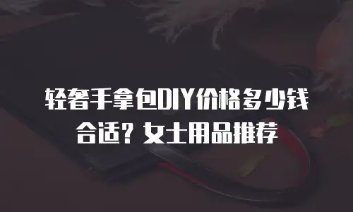 轻奢手拿包DIY价格多少钱合适？女士用品推荐