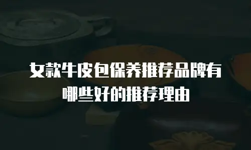 女款牛皮包保养推荐品牌有哪些好的推荐理由