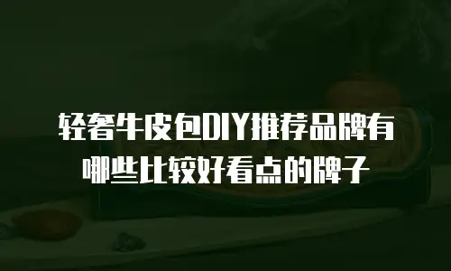 轻奢牛皮包DIY推荐品牌有哪些比较好看点的牌子