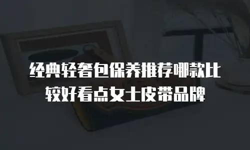 经典轻奢包保养推荐哪款比较好看点女士皮带品牌