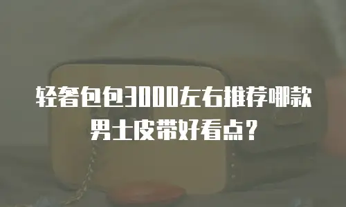 轻奢包包3000左右推荐哪款男士皮带好看点？