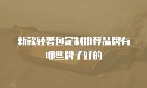 新款轻奢包定制推荐品牌有哪些牌子好的