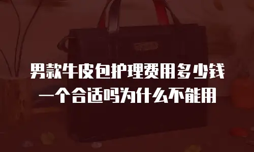 男款牛皮包护理费用多少钱一个合适吗为什么不能用