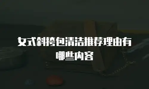 女式斜挎包清洁推荐理由有哪些内容