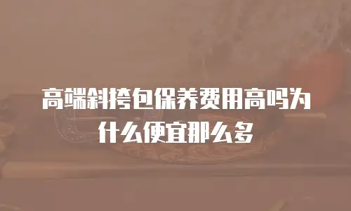 高端斜挎包保养费用高吗为什么便宜那么多