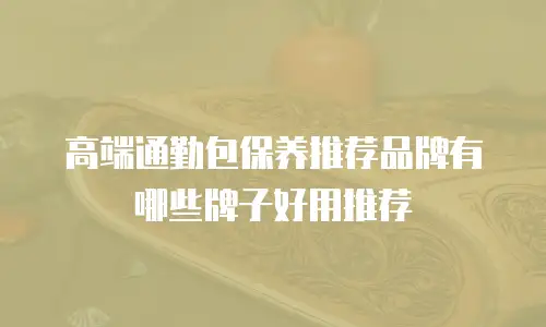高端通勤包保养推荐品牌有哪些牌子好用推荐