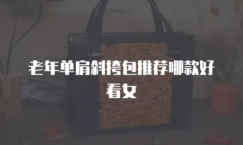 老年单肩斜挎包推荐哪款好看女