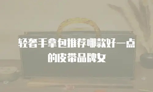 轻奢手拿包推荐哪款好一点的皮带品牌女