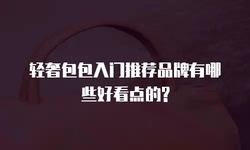 轻奢包包入门推荐品牌有哪些好看点的?