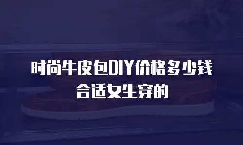时尚牛皮包DIY价格多少钱合适女生穿的
