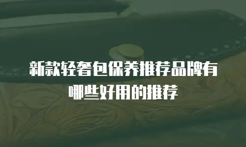 新款轻奢包保养推荐品牌有哪些好用的推荐