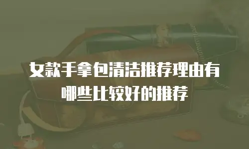 女款手拿包清洁推荐理由有哪些比较好的推荐