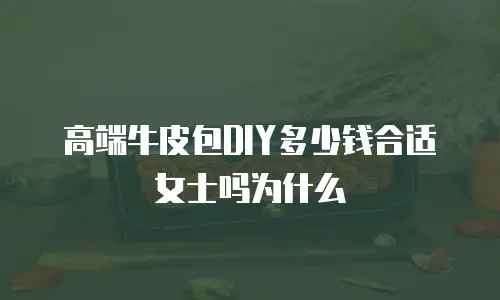 高端牛皮包DIY多少钱合适女士吗为什么