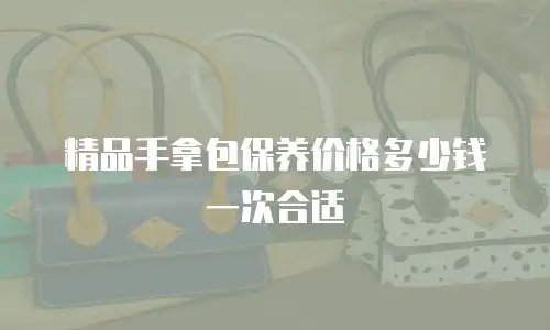 精品手拿包保养价格多少钱一次合适