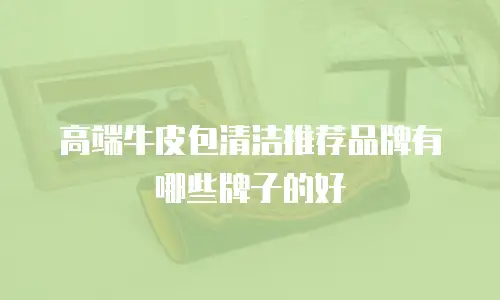 高端牛皮包清洁推荐品牌有哪些牌子的好