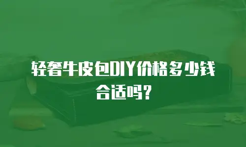 轻奢牛皮包DIY价格多少钱合适吗？
