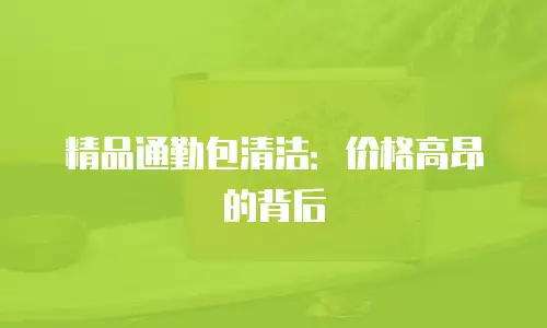 精品通勤包清洁：价格高昂的背后