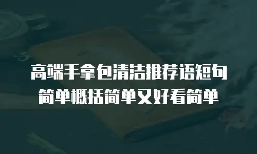 高端手拿包清洁推荐语短句简单概括简单又好看简单