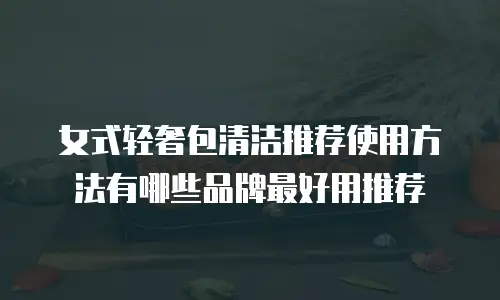 女式轻奢包清洁推荐使用方法有哪些品牌最好用推荐