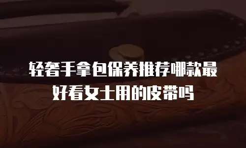 轻奢手拿包保养推荐哪款最好看女士用的皮带吗