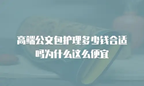 高端公文包护理多少钱合适吗为什么这么便宜
