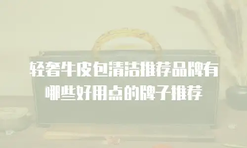 轻奢牛皮包清洁推荐品牌有哪些好用点的牌子推荐