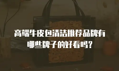 高端牛皮包清洁推荐品牌有哪些牌子的好看吗？