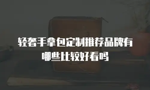 轻奢手拿包定制推荐品牌有哪些比较好看吗
