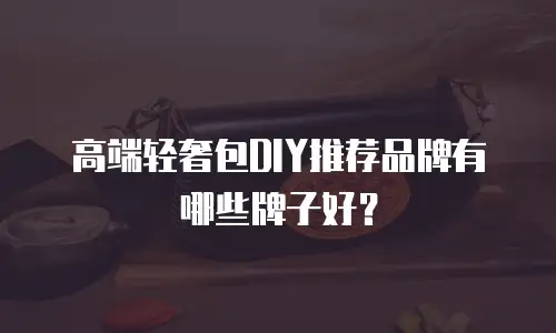 高端轻奢包DIY推荐品牌有哪些牌子好？