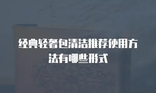 经典轻奢包清洁推荐使用方法有哪些形式