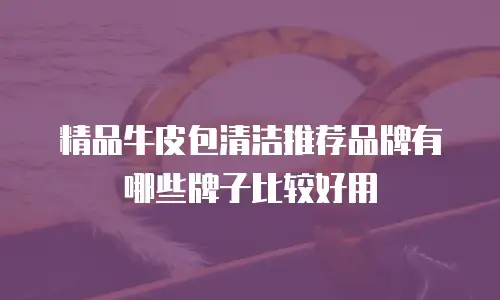 精品牛皮包清洁推荐品牌有哪些牌子比较好用