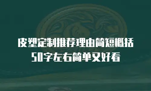 皮塑定制推荐理由简短概括50字左右简单又好看