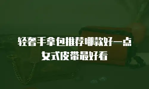 轻奢手拿包推荐哪款好一点女式皮带最好看