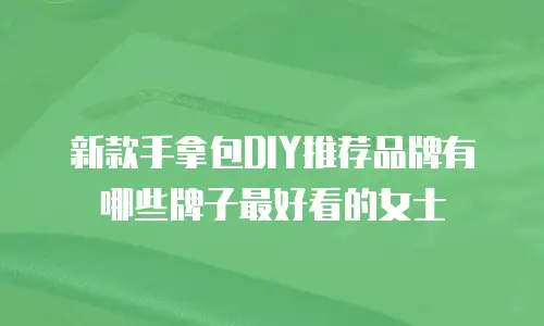 新款手拿包DIY推荐品牌有哪些牌子最好看的女士
