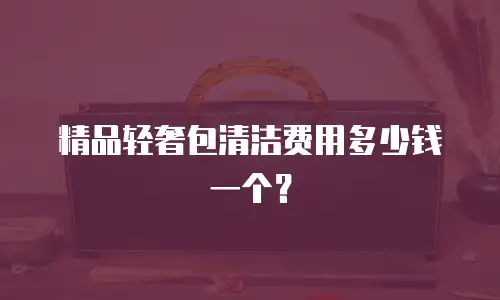 精品轻奢包清洁费用多少钱一个？
