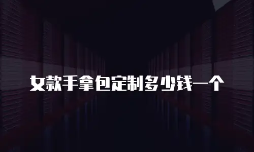 女款手拿包定制多少钱一个