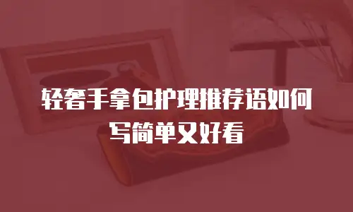 轻奢手拿包护理推荐语如何写简单又好看