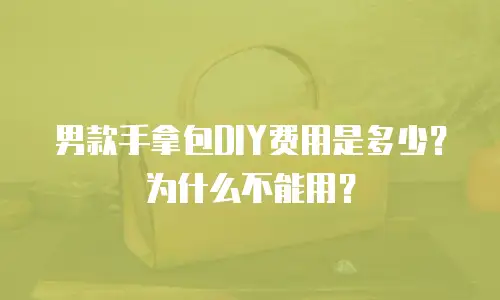 男款手拿包DIY费用是多少？为什么不能用？