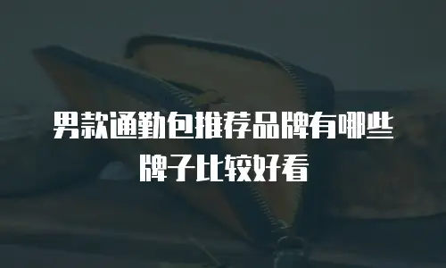 男款通勤包推荐品牌有哪些牌子比较好看