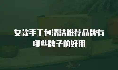 女款手工包清洁推荐品牌有哪些牌子的好用