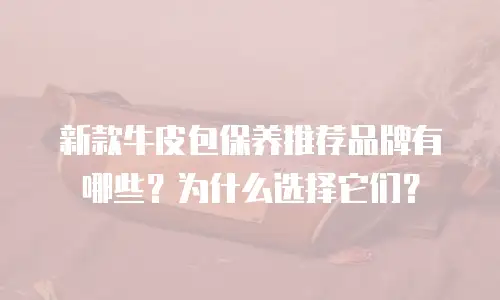 新款牛皮包保养推荐品牌有哪些？为什么选择它们？