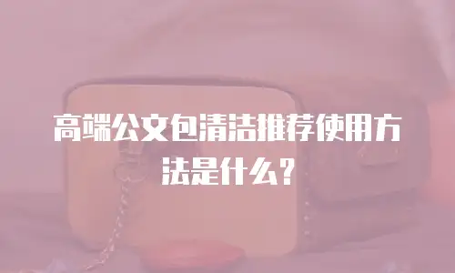 高端公文包清洁推荐使用方法是什么？