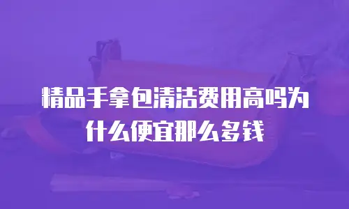 精品手拿包清洁费用高吗为什么便宜那么多钱