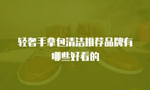 轻奢手拿包清洁推荐品牌有哪些好看的